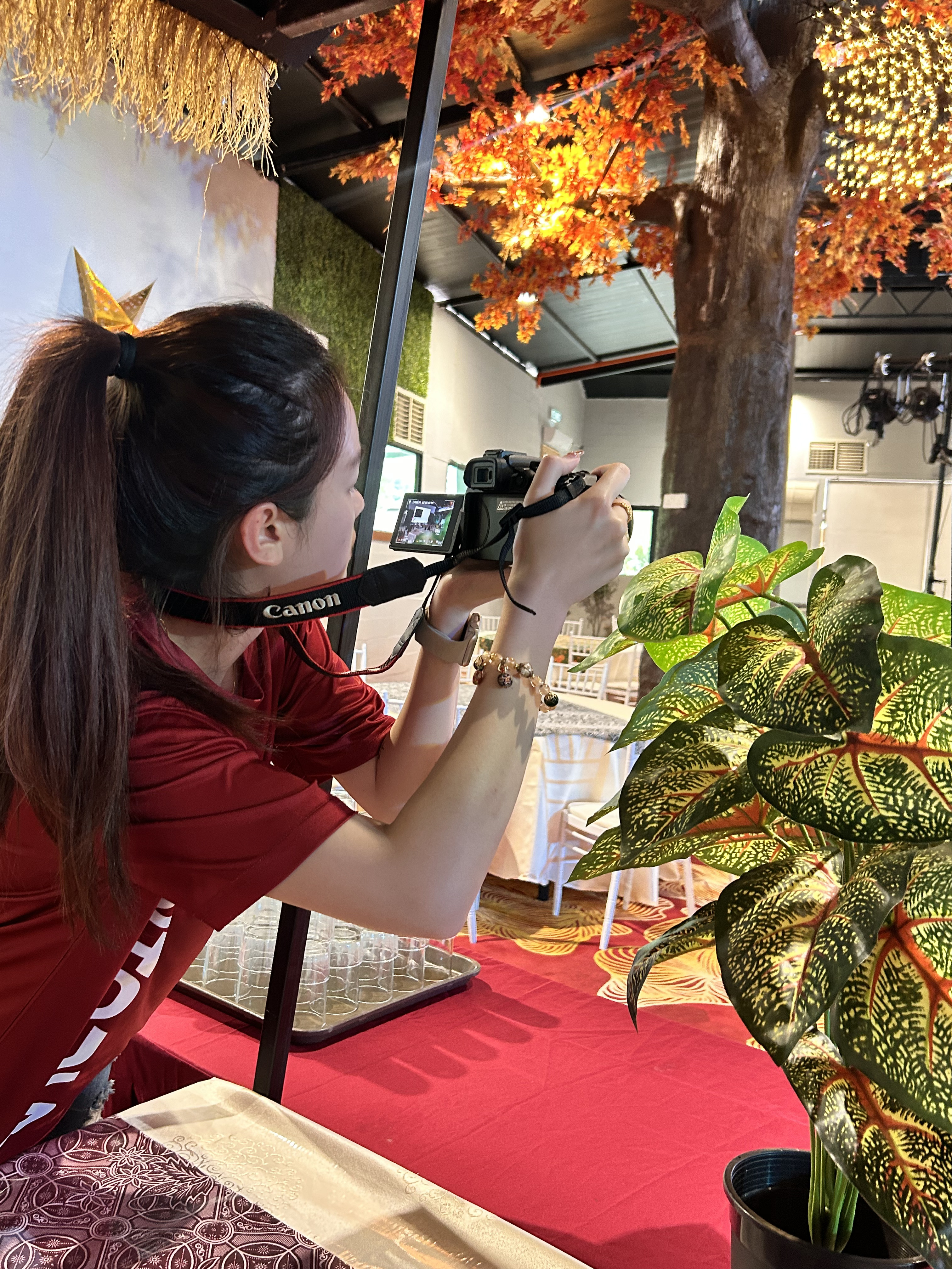 Ventopia Content Production